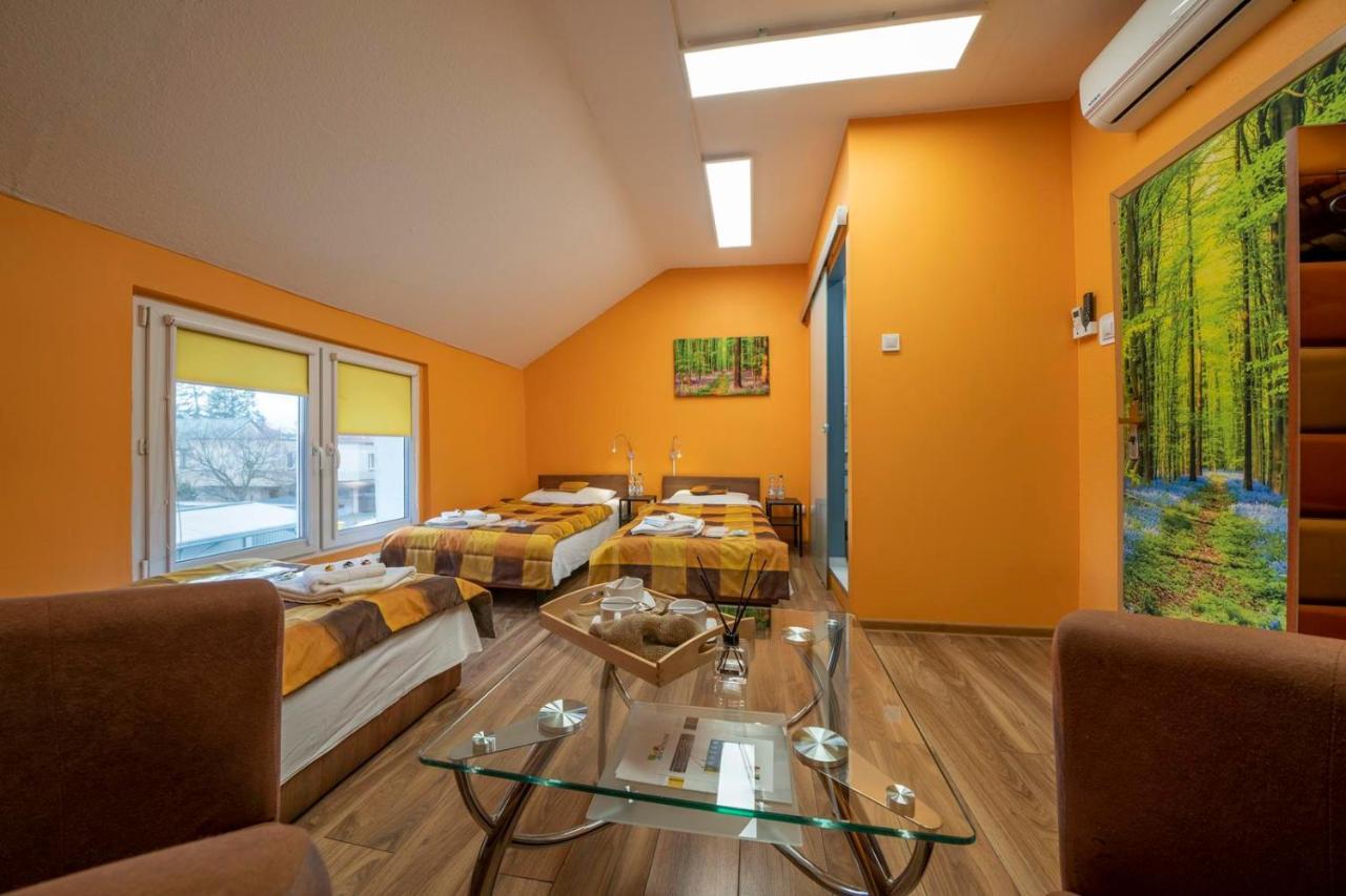 Appartement Fortisline Pokoje Z Klimatyzcja Sauna à Opole Extérieur photo